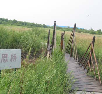 Grassy Puti Island in Laoting County