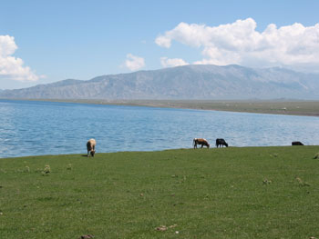 Sarim Lake in Xinjiang