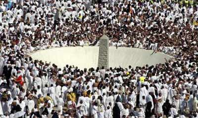 244 trampled, killed at Saudi pilgrimage