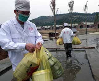 Guangxi taking measures to avoid bird flu spread