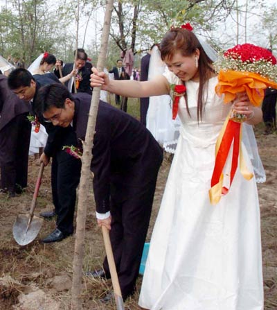 Green group wedding ceremony in Shijiazhuang