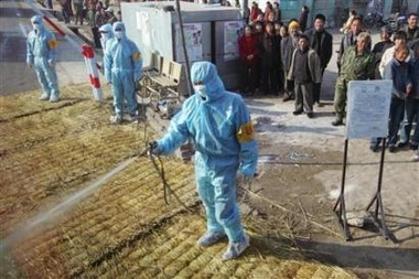 WHO warns of more China bird flu outbreaks
