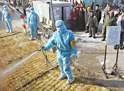 WHO: China faces challenges in bird flu