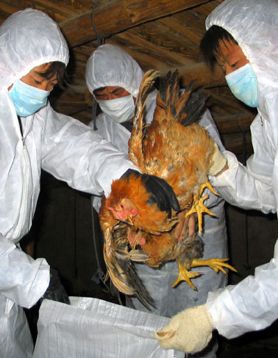 China airs plans to cope with bird flu