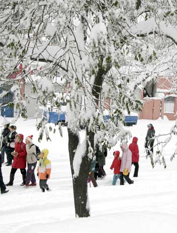 Blizzard cripples Weihai's bus transport