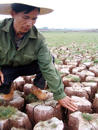 Persistent drought hits Guangdong