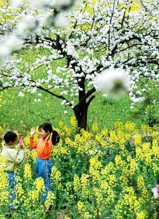 Beautiful spring scenery in Guizhou