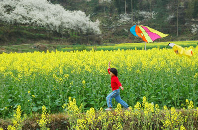 Beautiful spring scenery in Guizhou