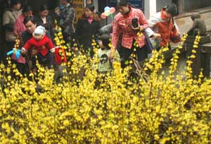 Peach blossom festival