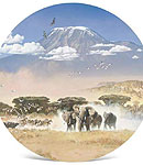 Kilimanjaro Snow Cap May Melt Soon