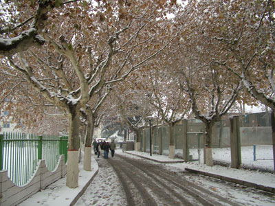 The first snow in Xi'an witnesses the 1st IDEA