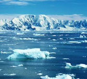 Last year was warmest in a century