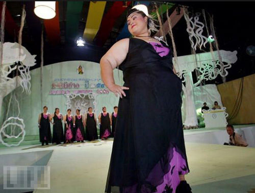 Miss Elephant in Thailand<BR>泰国启动'胖姐'选美(图)<BR>