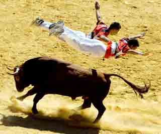 Spain's amazing bull leapers<BR>艺术家'飞牛'照曝光