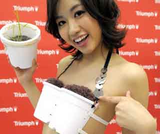 Japanese bra that grows rice<BR>可育水稻文胸问世(图)