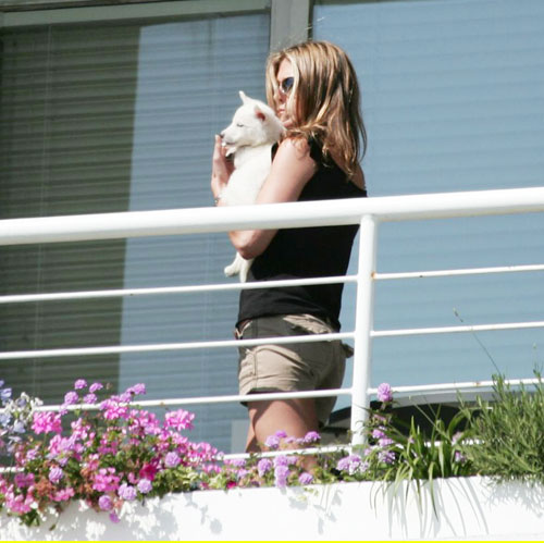 Jennifer Aniston Pets wwwchinadailycomcn