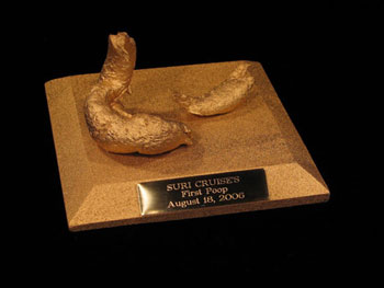 Tomkitten's 'first poop' goes on display