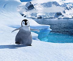 Happy Feet