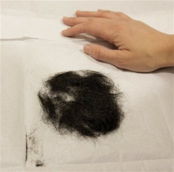 Elvis' hair sells for $15K at Chicago auction