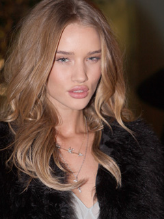 Rosie Huntington-Whiteley's lover inspiration