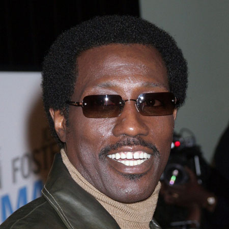 Wesley Snipes not worried about jail