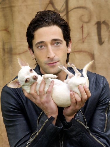 Celebs and their pets