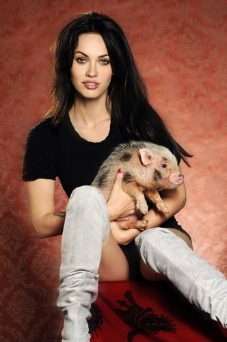 Celebs and their pets