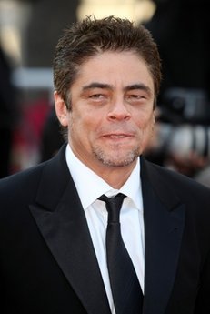 Benicio del Toro expecting child with Kim Stewart