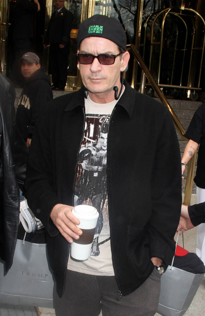 Charlie Sheen wants full custody of twins