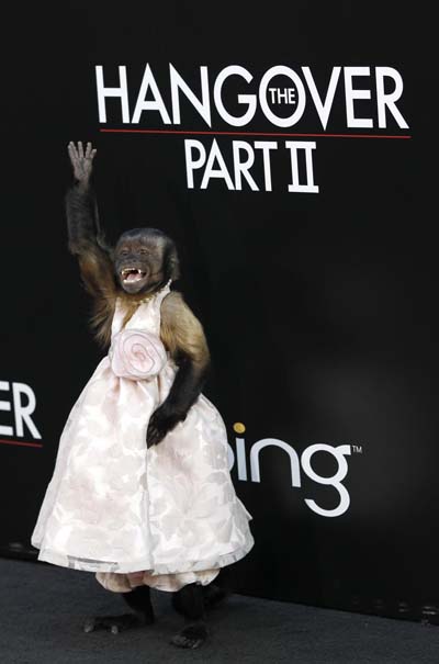 Premiere of 'The Hangover Part II' at Grauman's Chinese theatre in Hollywood
