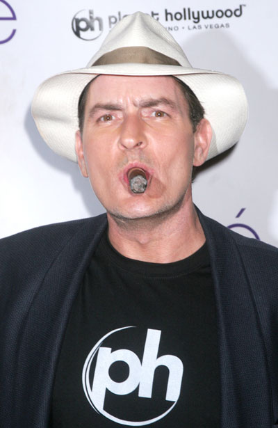 Charlie Sheen sustains baseball injury