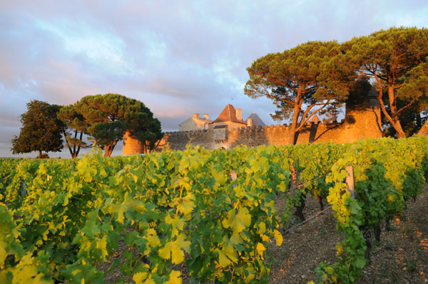 Chateau scenery in France