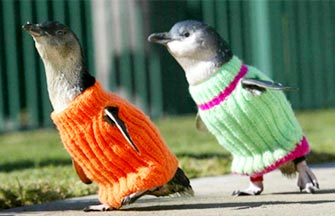 perboy to superstar | !-- ab 17039187 -- Music 