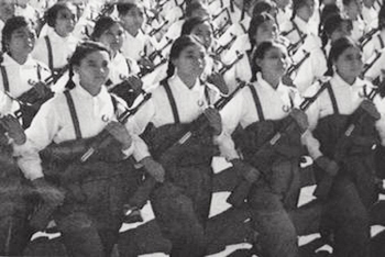 An Ocean of Army Green