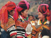 Miao