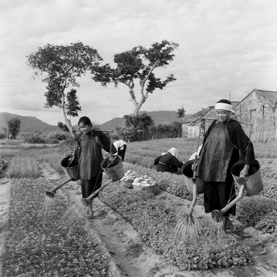 100 photographers' focus on China - Economy