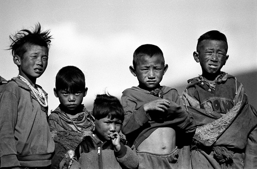 The Tibetan ethnic group of China
