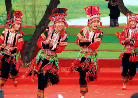 Culture festival celebrated in SW Yunnan