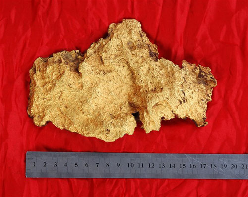 Giant gold nugget found in Xinjiang