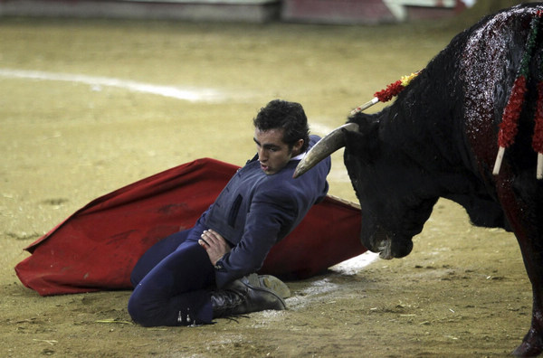 Bull fighting in Ecuador