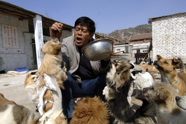 Sick man helps stray dogs in E China