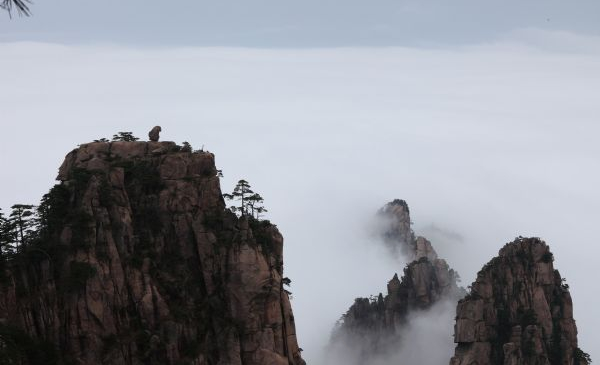 Seas of clouds appear at Huangshan Mountain