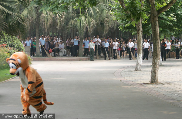 A tiger hunting game in SW China zoo