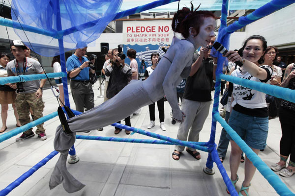 Woman hangs from hooks to protest shark killing