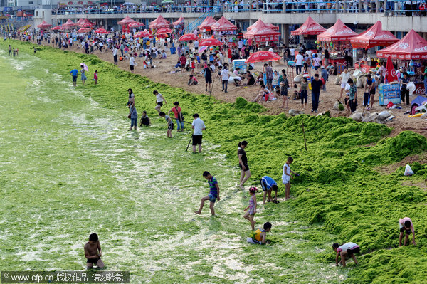 Beachgoers covered in algae in E China