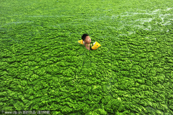 Beachgoers covered in algae in E China