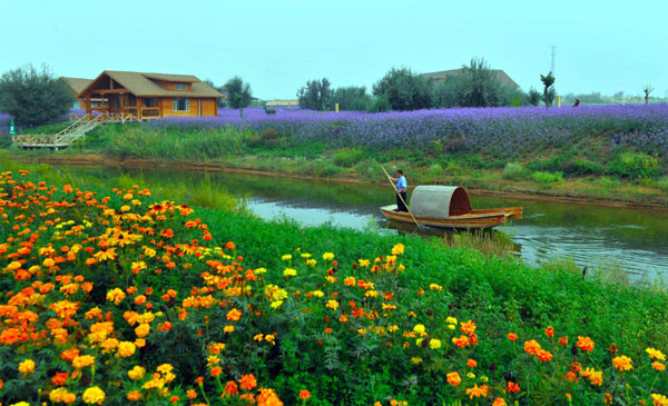 Ecological oasis in Tengger desert