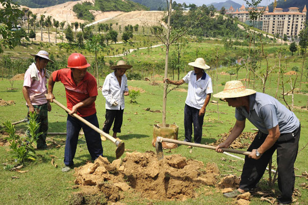 20,000 trees to be planted on a former golf course