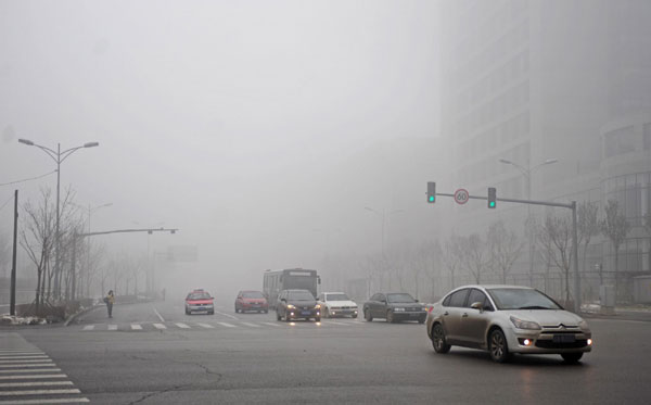 Heavy fog disrupts traffic in NE China