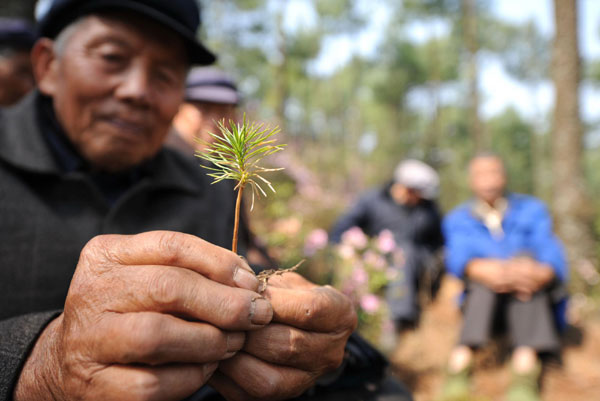 Friends turn mountain into luscious forest